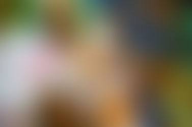 Le brunch et le loto après l'AG