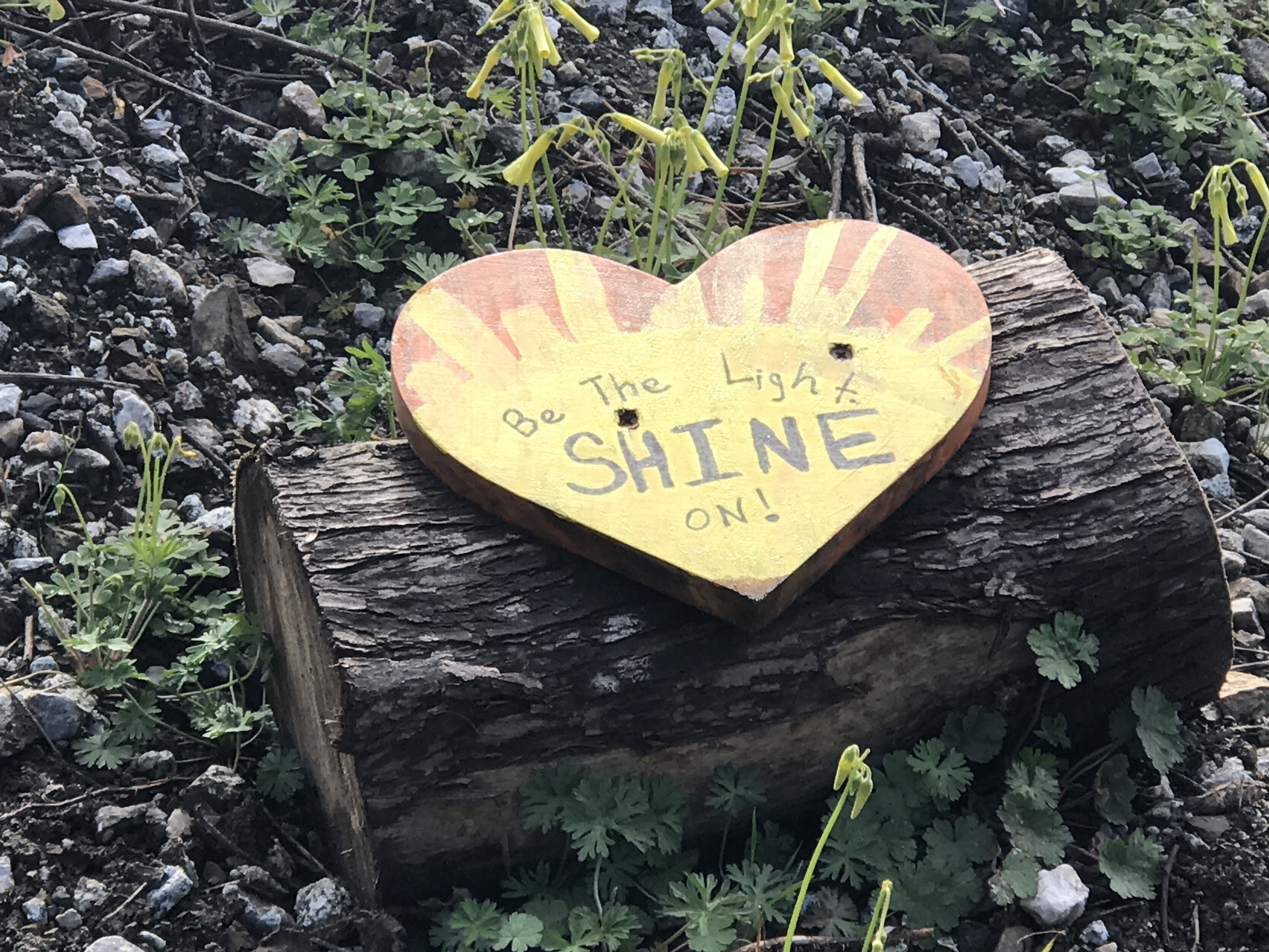 SHINE