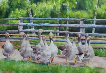 majabrauel.de-gänse-malerei-aquarell