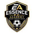 Essence Academy Logo 3.PNG