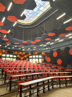 WhatsApp Image 2023-05-29 at 20.04.16