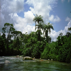 YASUNI-