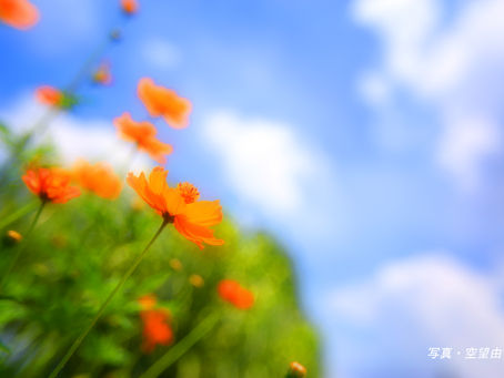 戦うべき相手は自分の中にいるから。