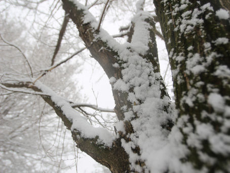 雪景色もやっぱり好き。