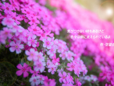 今までの作品をまとめ中