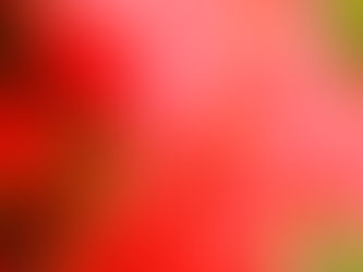 彼岸花・シンボルタワー恩林寺旧秋元別邸にて撮影