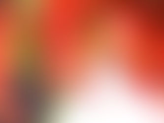 邑楽町の紅葉と桜・多々良沼にて