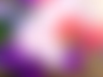 人生に「たられば」はないです(^^)