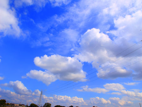 空とか花とか、たくさん素材は撮っておいたほうが良いですね(^^)