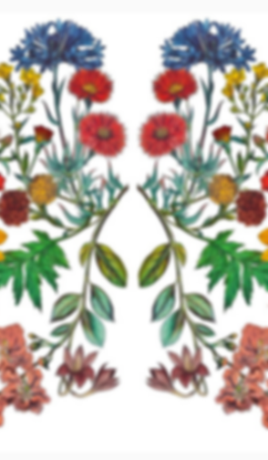 Screenshot 2025-05-08 at 12.24.00.png