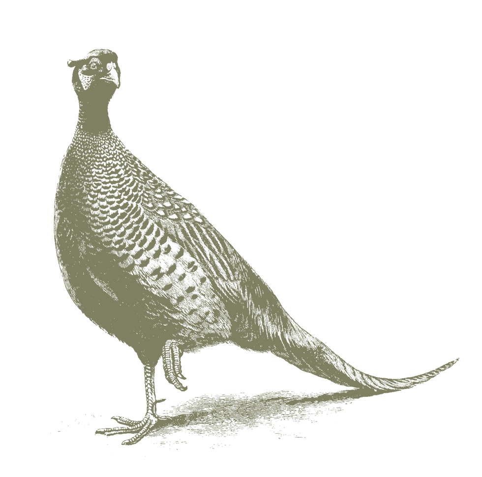 Northcott Farm Holidays (2).png