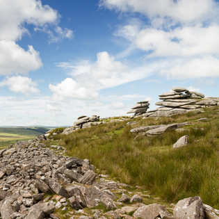 Bodmin Moor