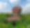 80b683b0-8d16-4e70-9eb8-38c04380efdc_edited_edited.png
