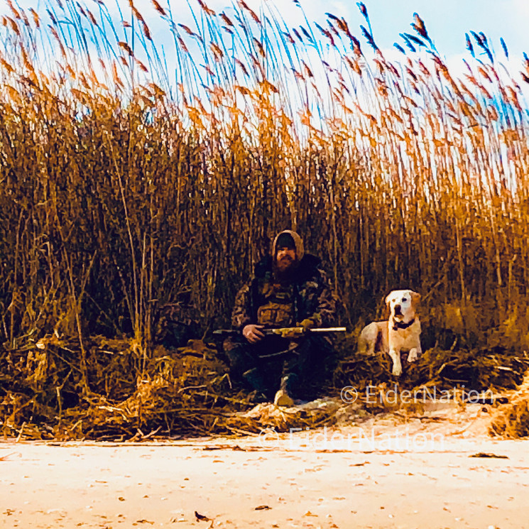 Eider Nation Sea Duck Hunting Cape Cod