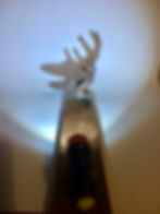 Deer?
