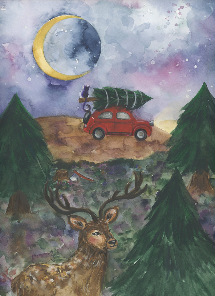 Getting your tree.jpeg