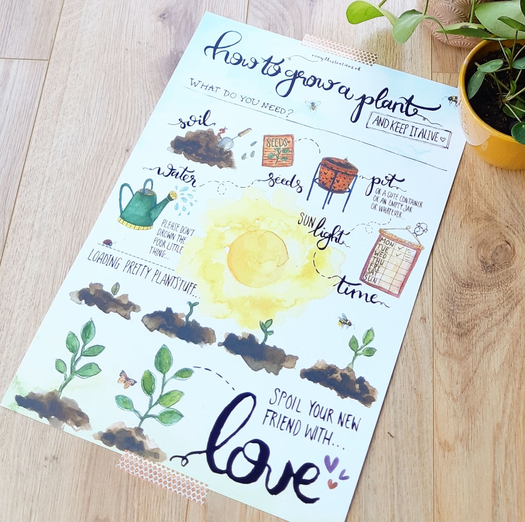 'How to grow a plant?' Poster A3