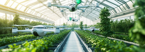 AdobeStock_1039883480 (1).jpeg