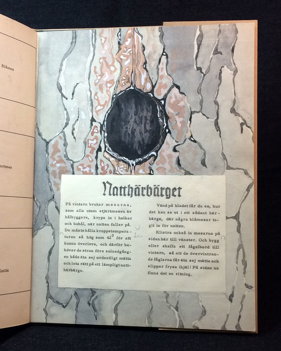 Miniatyrbild: Harald Wiberg & A. E. Malm: Outgivet manuskript om fåglar