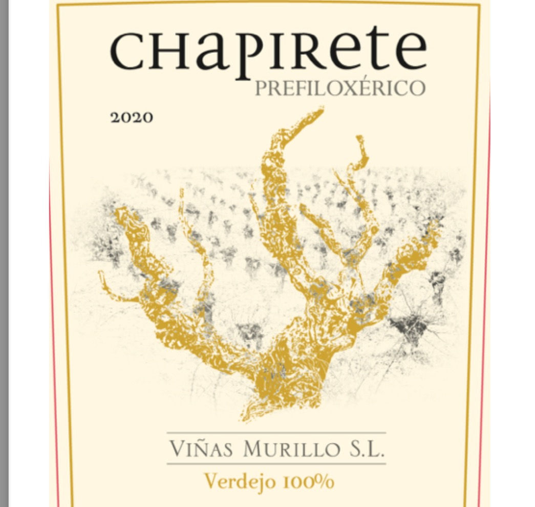 Chapirete Prefiloxérico 2020