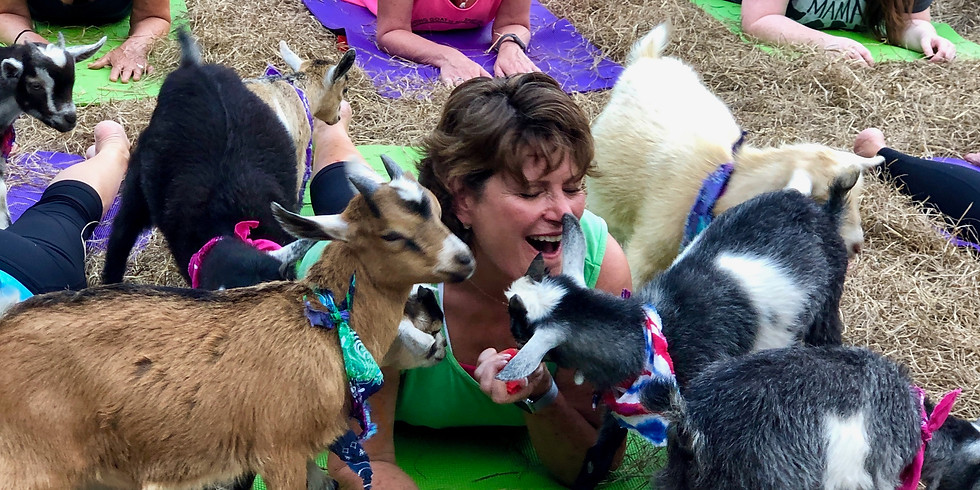 HUMP DAY GOAT YOGA (Beginner)