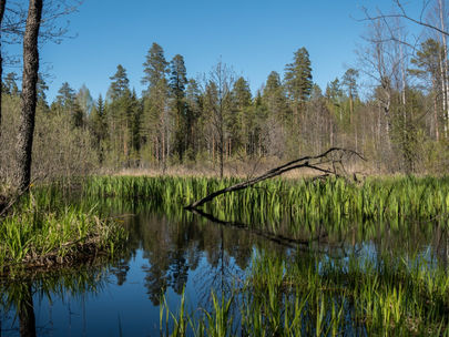 Back to Finland with the POOL project!