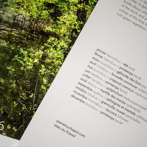 Les calendriers 2026 sont déjà disponibles !