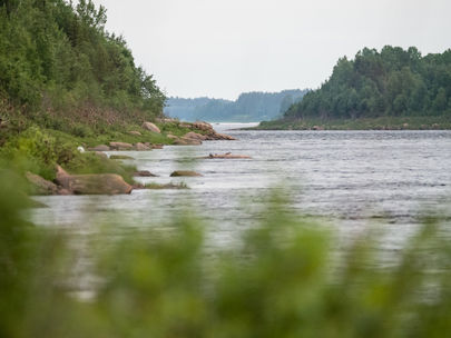 Lapland's banks