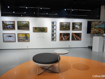 An ephemeral exhibition at the Hämeenlinna library!