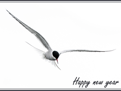 Happy new year 2023 !