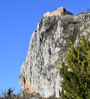 NB9_8879.JPG
