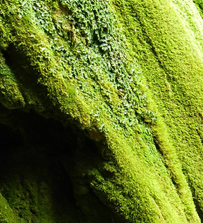 Roquefort-les-cascades-visites-guidee-ariege-noemie de bono-guide conférenciere.jpg