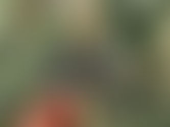 Quando o seu mundo se divide em dois