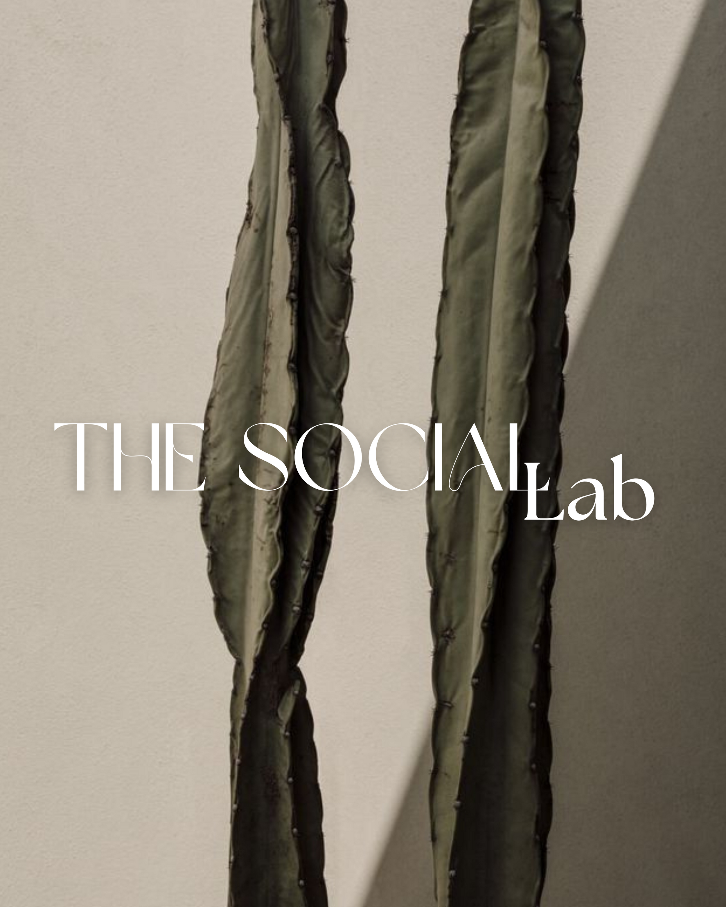 Fresh Content Ideas to Kickstart Your Social Media in 2025