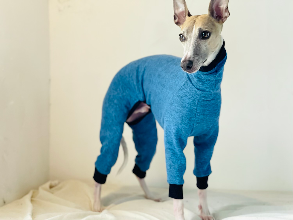 サムネイル： 【ロンパース】MIXカラーのスポーティロンパース