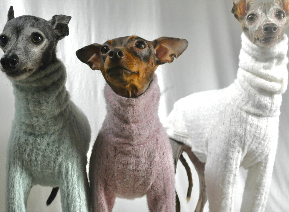 ♥︎︎ジャスミン☆様専用♥︎︎ ハンドメイド犬服 アンティーク