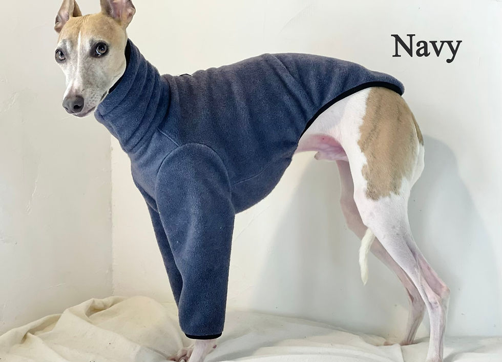 サムネイル： メルトンフリースのパイピングプルオーバー