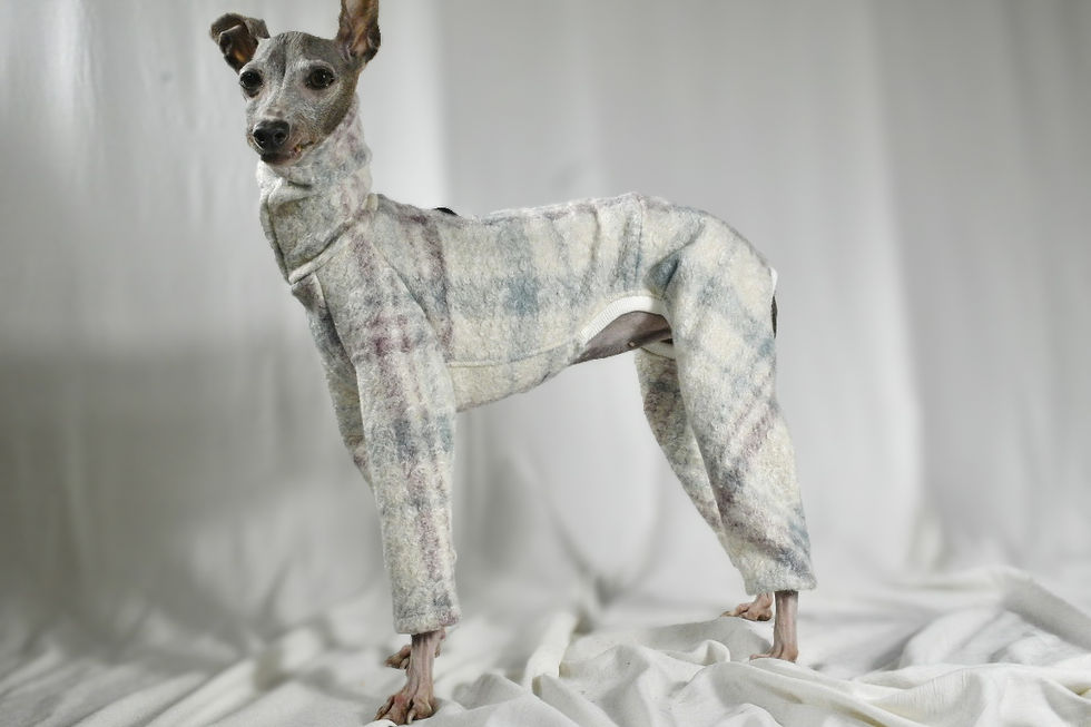 サムネイル： くるくる巻き毛のチェック柄プルオーバー