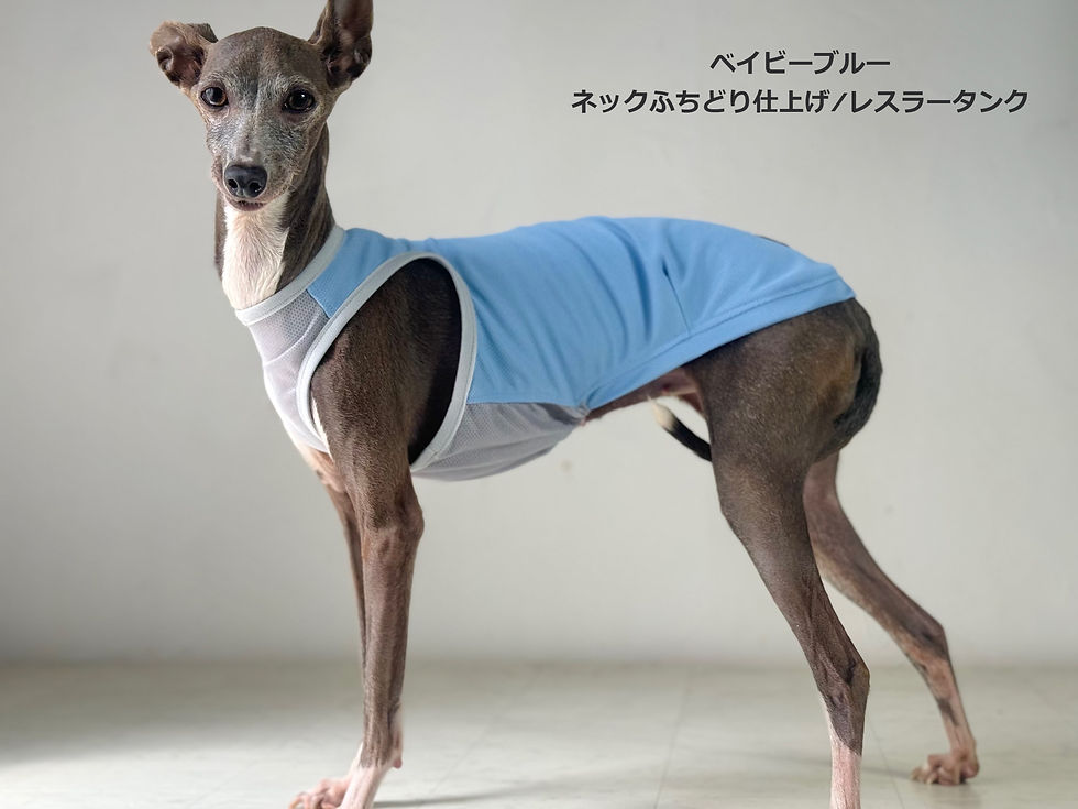 サムネイル： 【遮熱×冷感メッシュ】SHADAN 無地カラータンクトップ