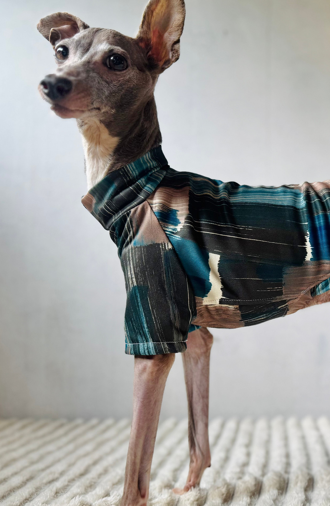 ピンコ様専用 イタグレ服 ハンドメイド