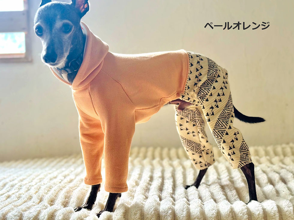 サムネイル： 柄ストレッチコーデュロイ×裏毛ニットのパーカーロンパース