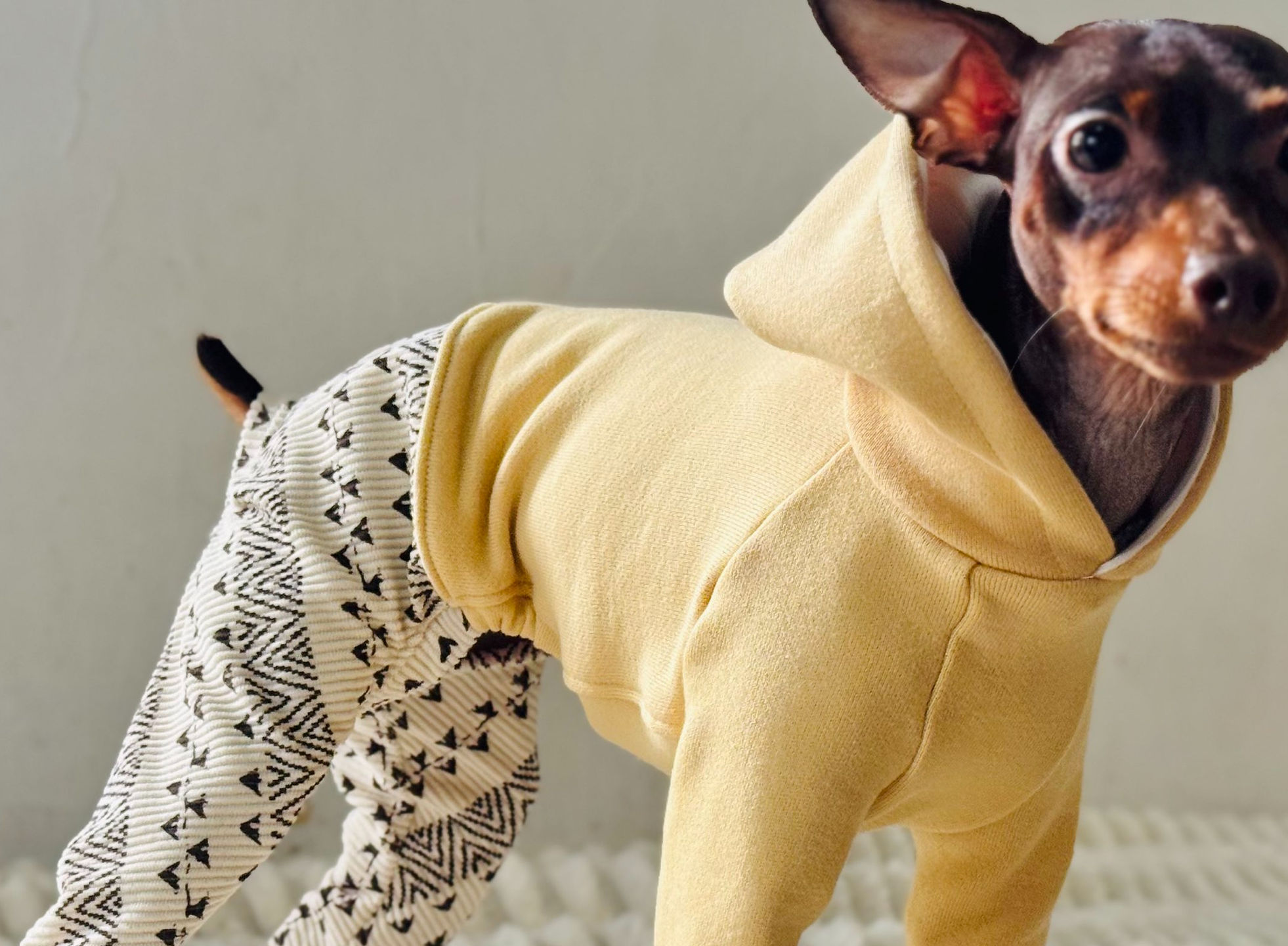 コールテンテディベア　赤チェック　犬服ハンドメイド　犬の洋服 コールテンテディベア赤チェック犬服ハンドメイド犬の洋服