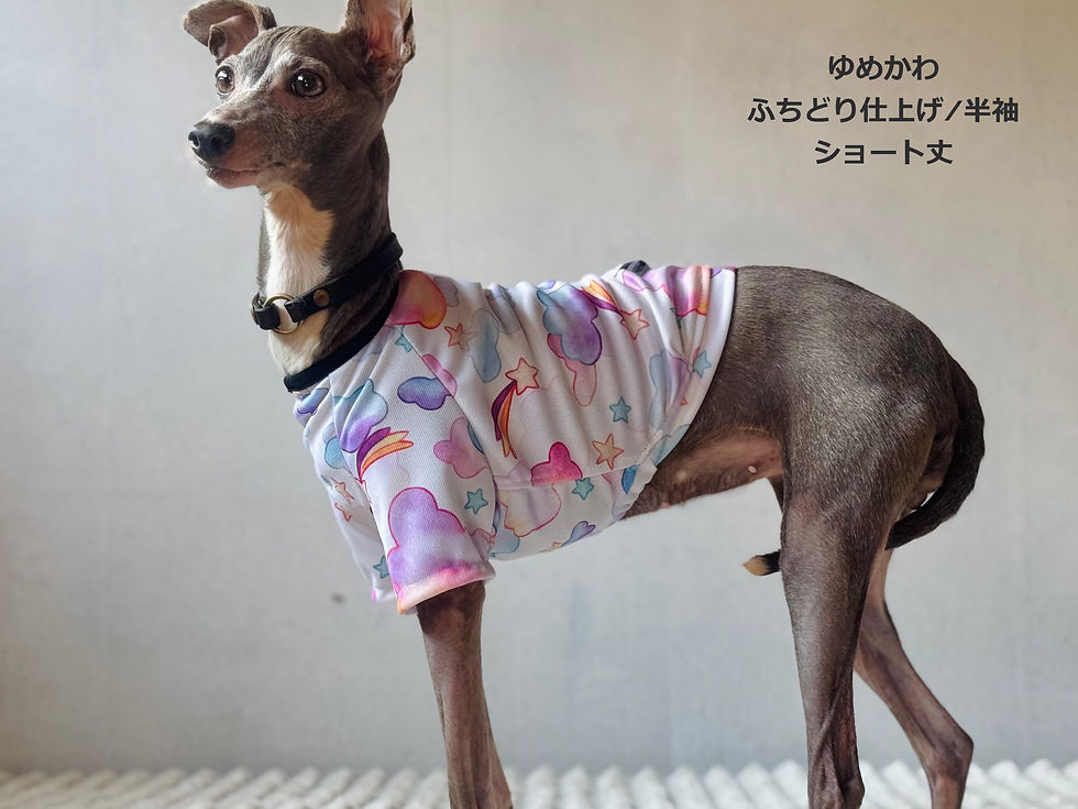 サムネイル： 【UVカット】2025 ポリエステル鹿の子シャツ