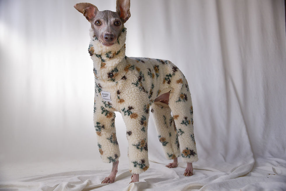 サムネイル： ナチュラルお花のボアロンパース