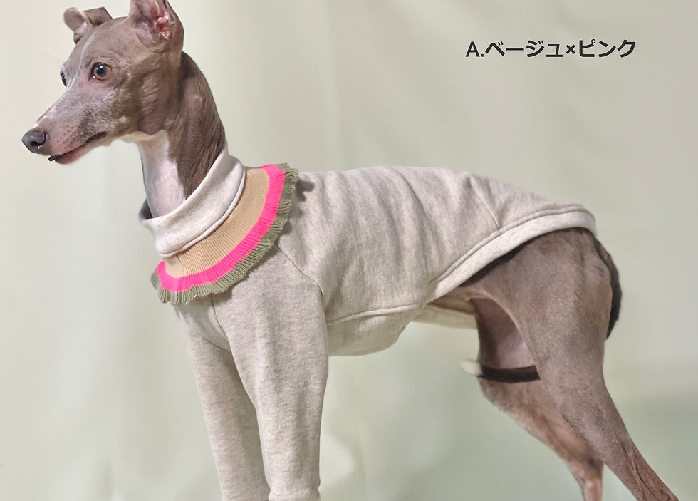 サムネイル： ネックリブラインのトレーナー