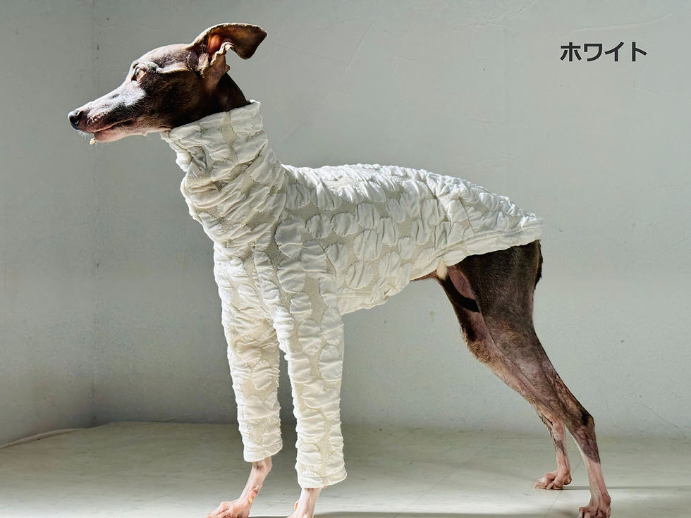 サムネイル： まあるいフクレジャガードのシャツ