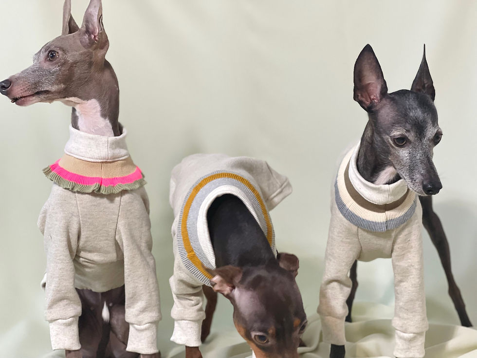 サムネイル： ネックリブラインのトレーナー