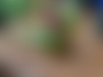 How YCCECE Turned Green Education into a 150+ Family Community Impact Adventure