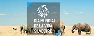 Día mundial de la vida Silvestre