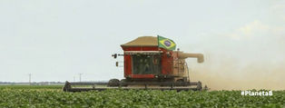 Brasil, África y la deuda que se paga con tecnología agrícola